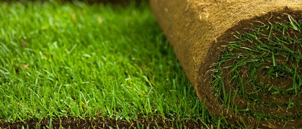 Northern California Sod Supplier, Sod Delivery and Installation