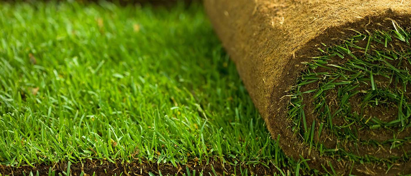 Sod Lawn Delivery and Installation